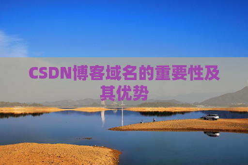 CSDN博客域名的重要性及其优势